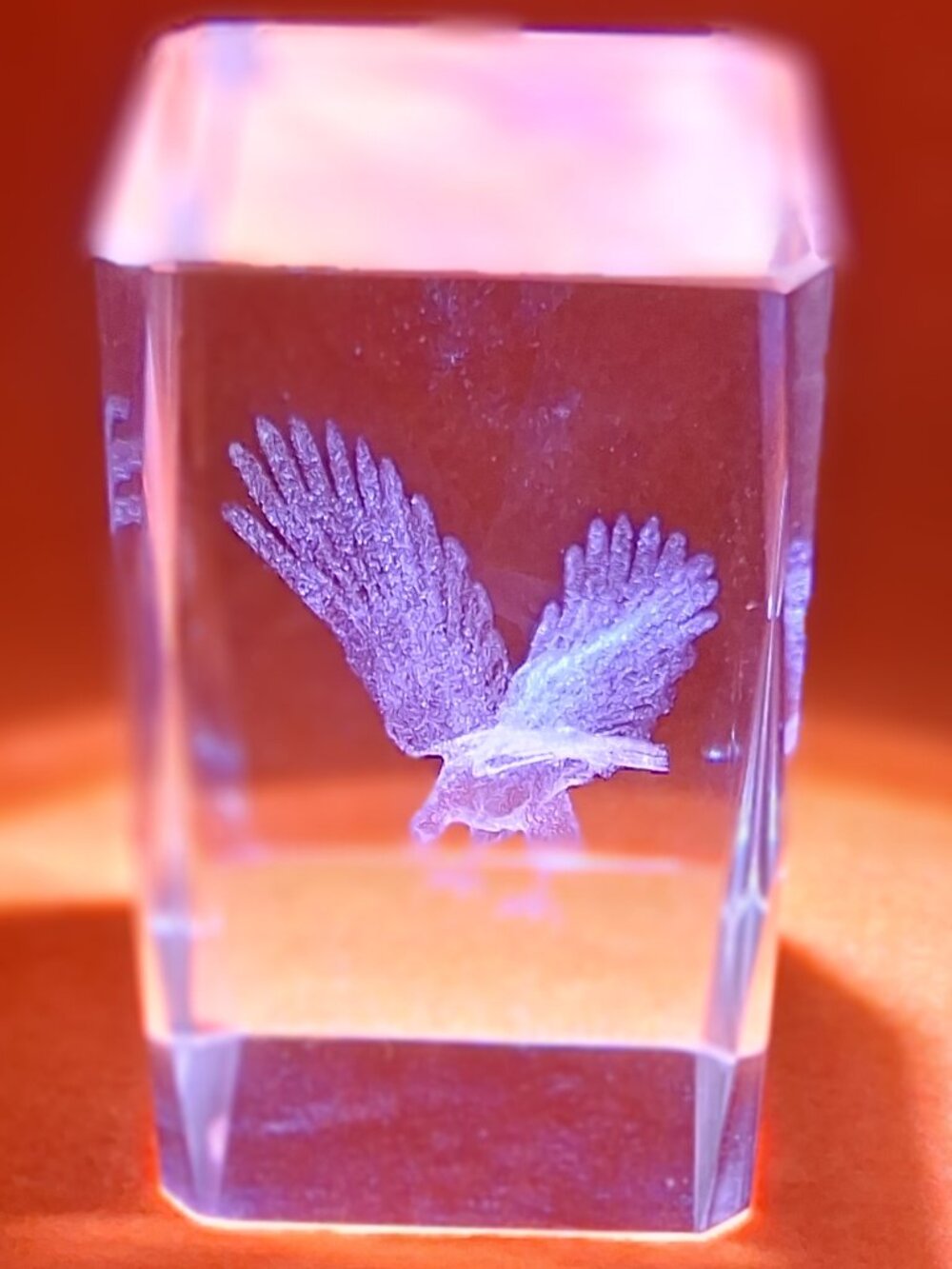 3D Laser‑Etched Crystal Bird in Flight Figurine w/ Presentation Box - Picture 5 of 7